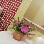 Studio Rose
