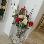 Rose דירה *