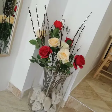 Studio Rose Apartman *