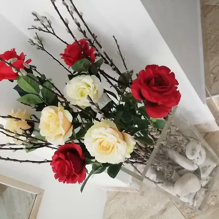 Rose Apartamento *
