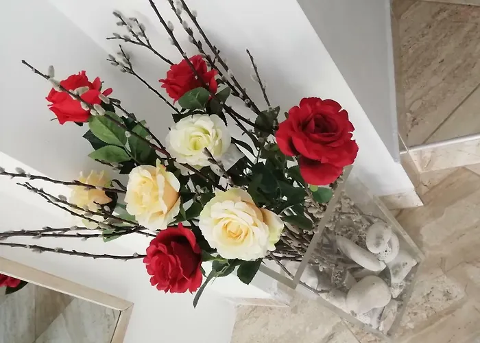 Rose Apartamento *